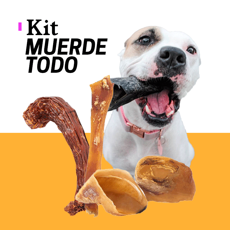 Kit Muerde todo